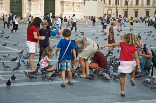 2 недели. Польша-Чехия-Франция-Италия-Австрия. Много фоток