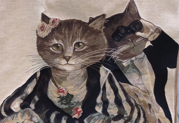 Поговорим о кошках33