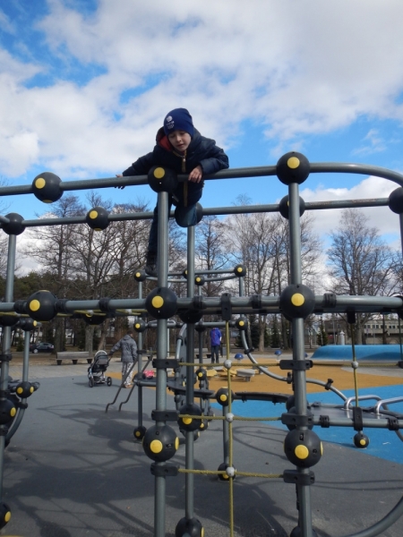 Весна 2015. Четыре Балтийские столицы: Таллин, Стокгольм, Рига и Вильнюс