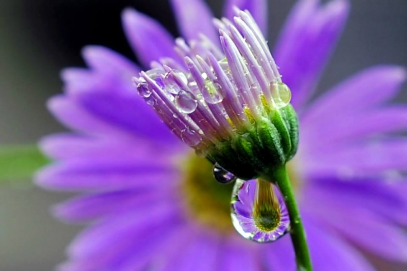 GalaN родилась в этот день!Поздравим!!!