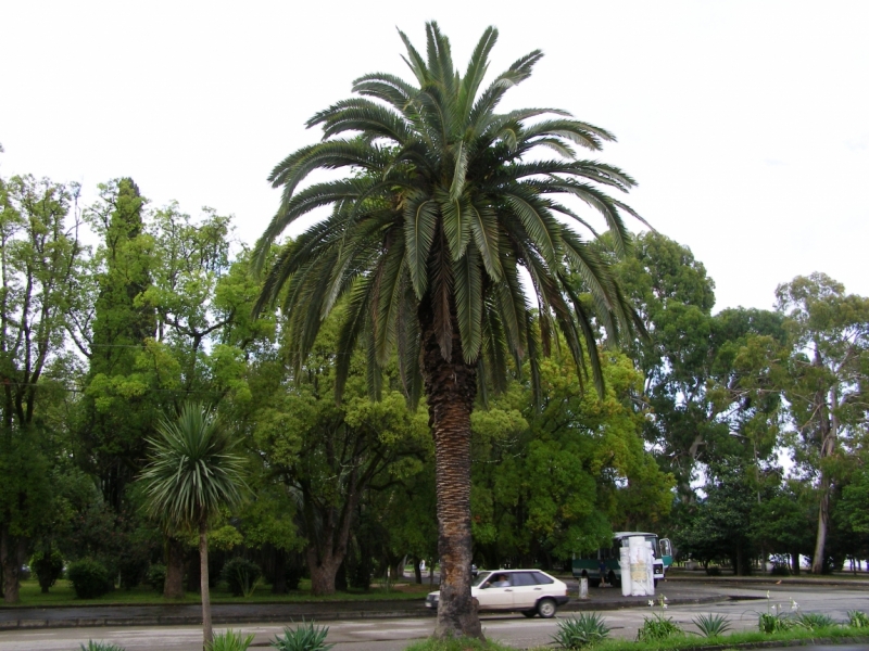 Набережная