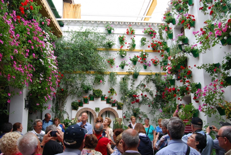 Кордова в дни фестиваля патиос: цветущая, монументальная и гастрономическая