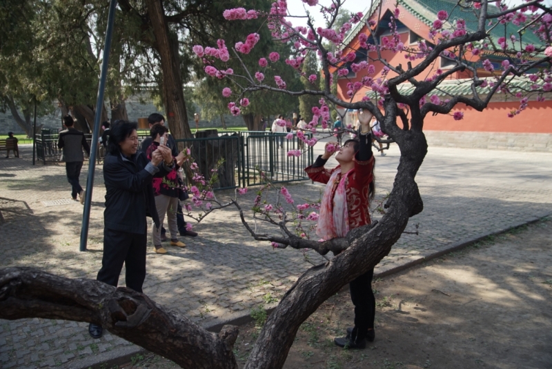 Пекин - Сиань - Хуашань - Шанхай