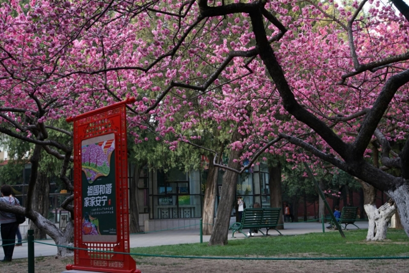 Пекин - Сиань - Хуашань - Шанхай