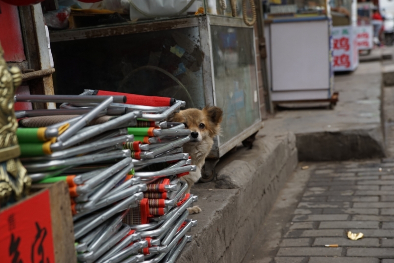 Пекин - Сиань - Хуашань - Шанхай