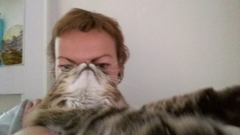 Поговорим о кошках33