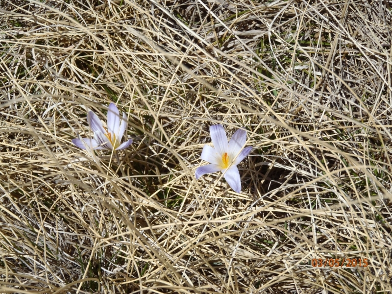 «А вот хоть бы с Лелькой в Кисловодск закатился!» (c)