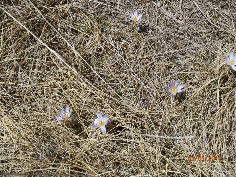 «А вот хоть бы с Лелькой в Кисловодск закатился!» (c)