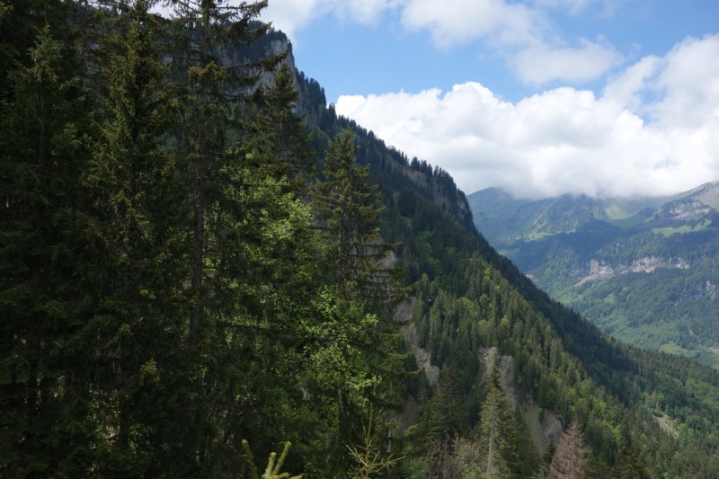 Земля Форарльберг (Bundesland Vorarlberg)