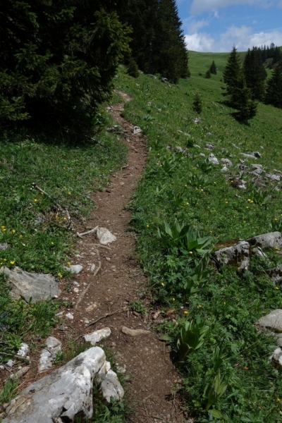 Земля Форарльберг (Bundesland Vorarlberg)