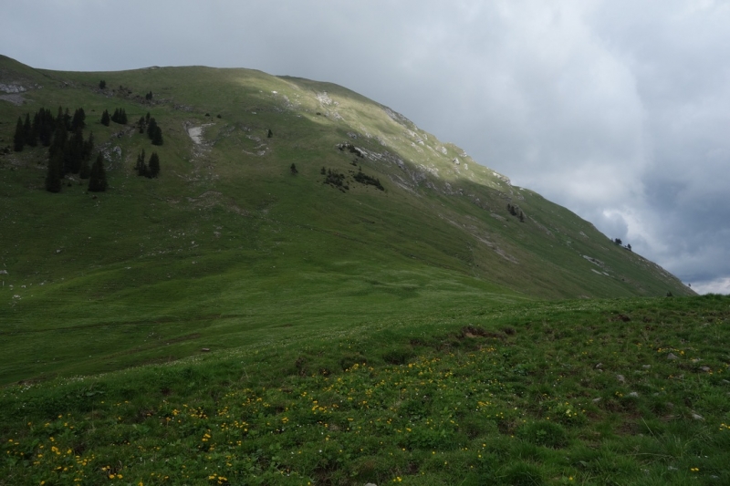 Земля Форарльберг (Bundesland Vorarlberg)