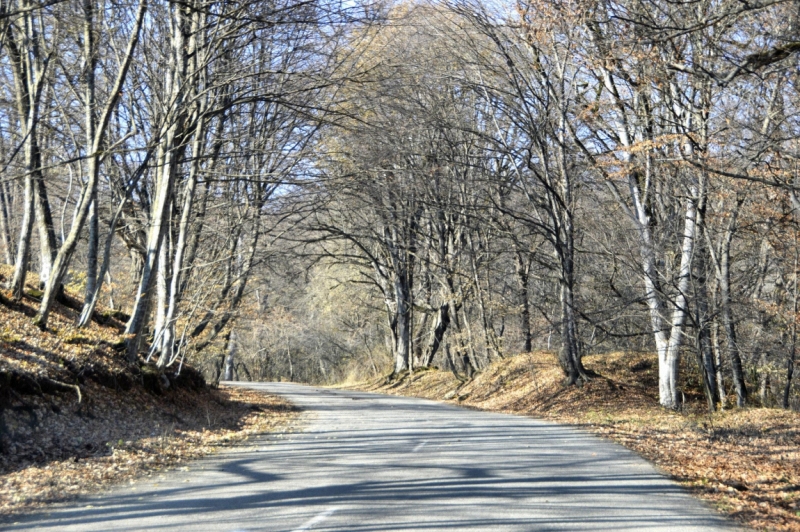 24500 слов про Армению с практическими, лирическими и техническими отступлениями