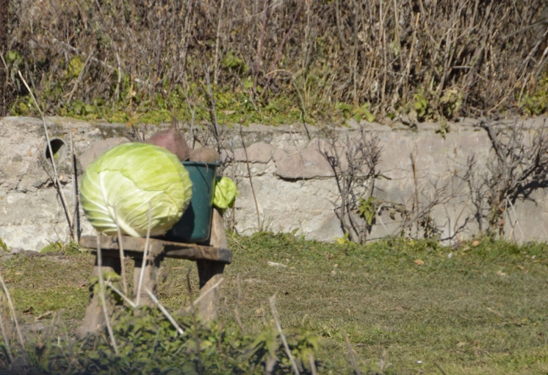 24500 слов про Армению с практическими, лирическими и техническими отступлениями