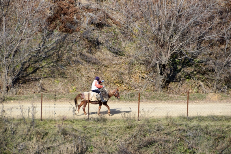 24500 слов про Армению с практическими, лирическими и техническими отступлениями