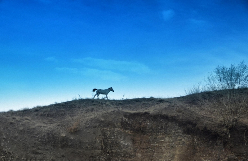 24500 слов про Армению с практическими, лирическими и техническими отступлениями