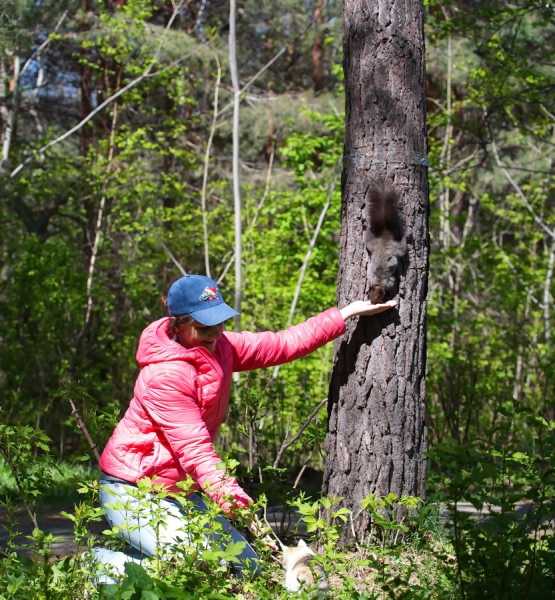 Поговорим о кошках33