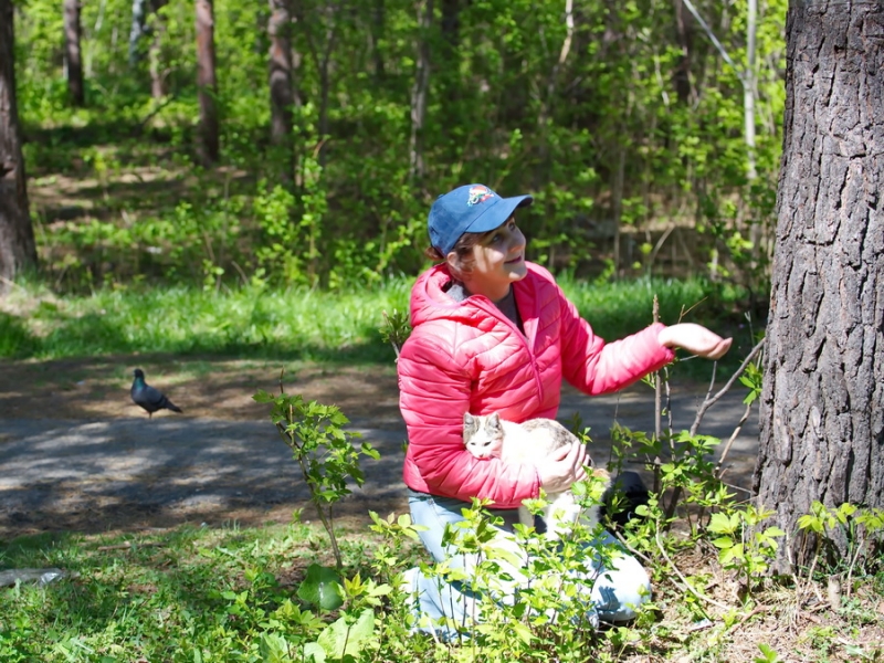 Поговорим о кошках33