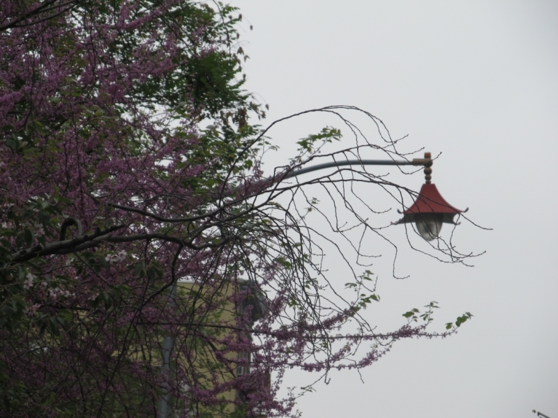 Раз, и все!  Или вертикальный взлет в Нью-Йорк. Май 2015.