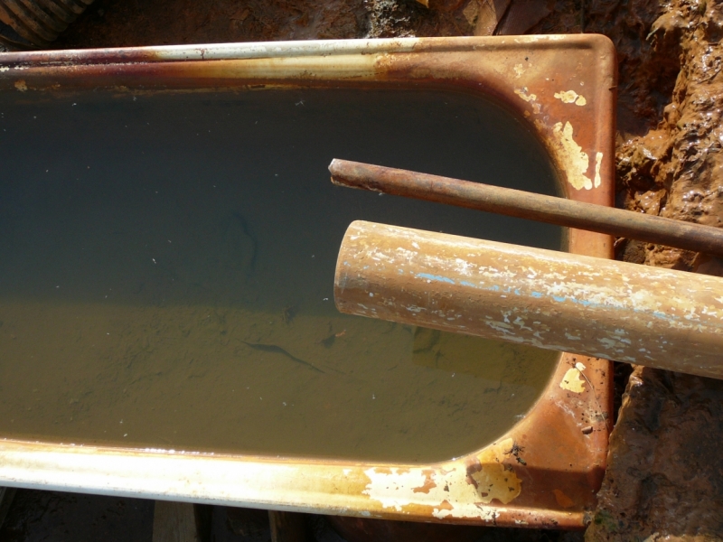 Абхазия. Январские праздники 2012