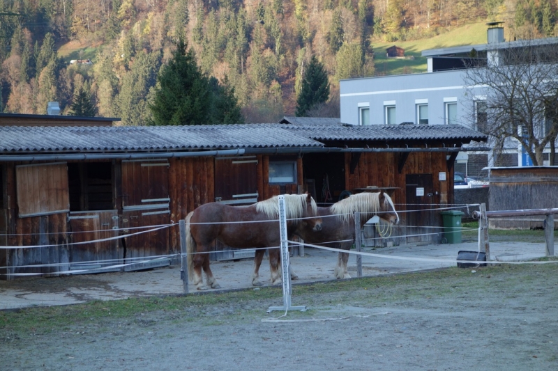 Земля Форарльберг (Bundesland Vorarlberg)