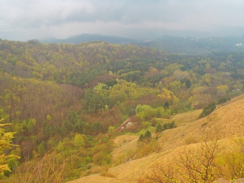 «А вот хоть бы с Лелькой в Кисловодск закатился!» (c)