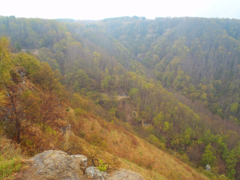 «А вот хоть бы с Лелькой в Кисловодск закатился!» (c)