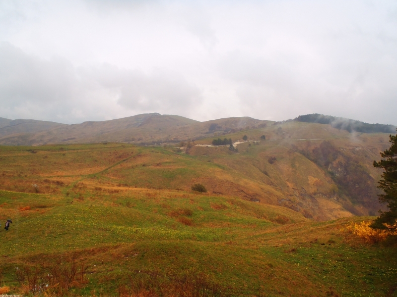 «А вот хоть бы с Лелькой в Кисловодск закатился!» (c)