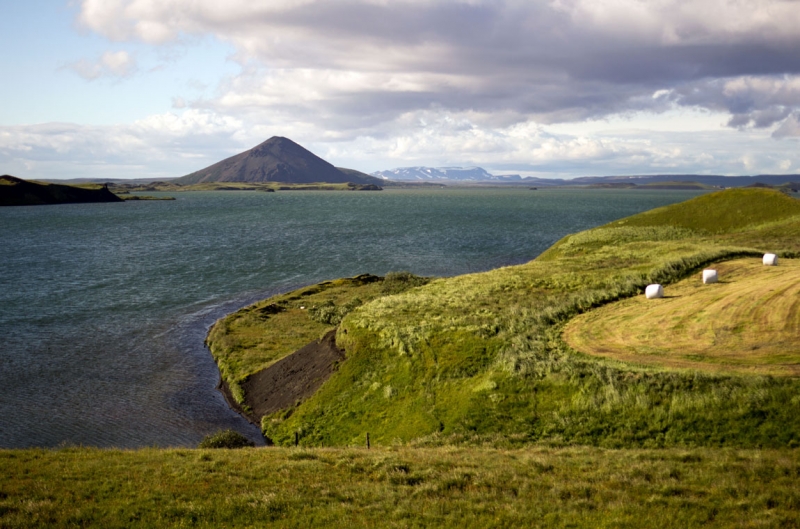 Остров Бекасов