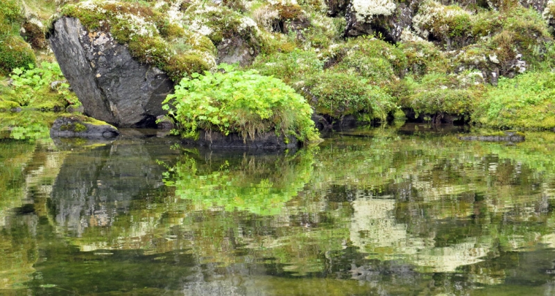 Остров Бекасов