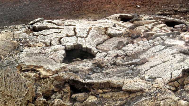 Остров Бекасов