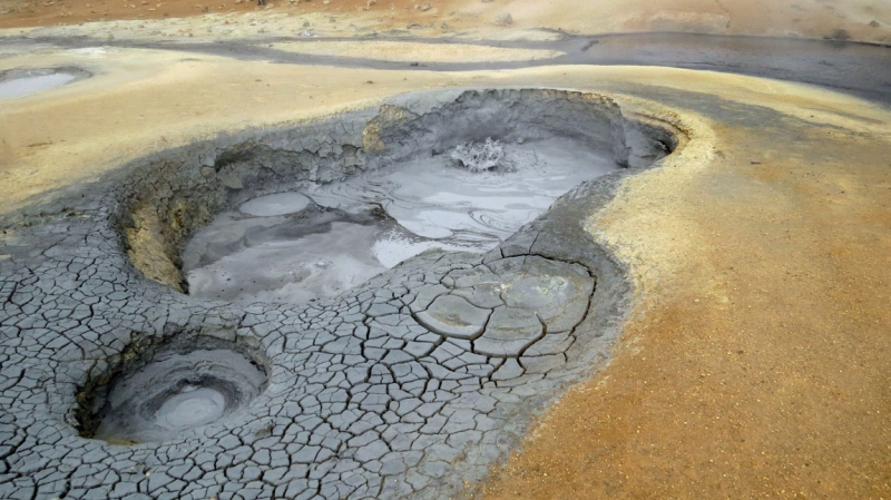 Остров Бекасов