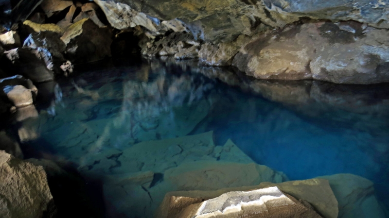 Остров Бекасов