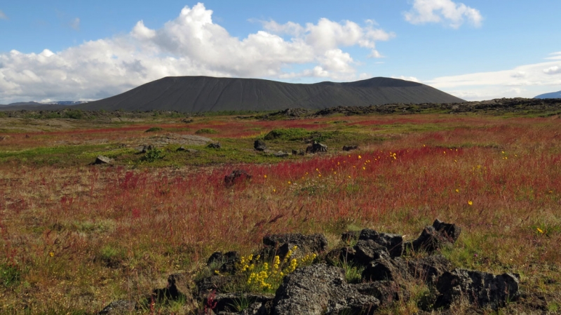 Остров Бекасов