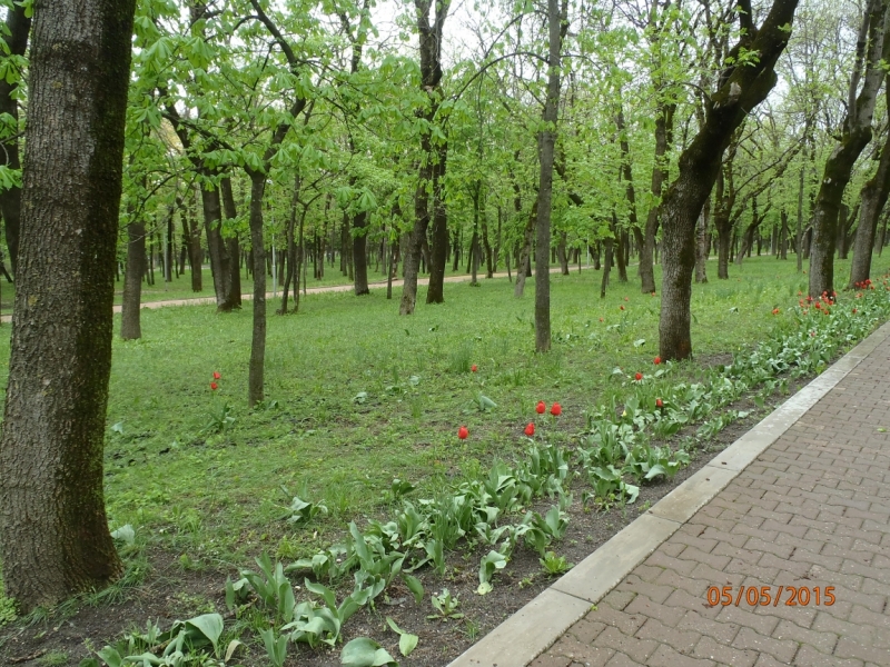 «А вот хоть бы с Лелькой в Кисловодск закатился!» (c)