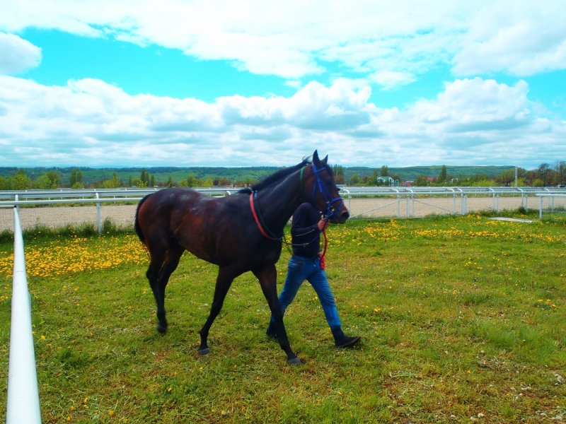 «А вот хоть бы с Лелькой в Кисловодск закатился!» (c)
