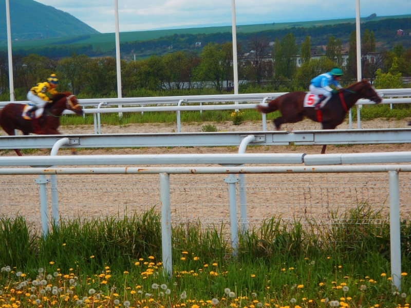 «А вот хоть бы с Лелькой в Кисловодск закатился!» (c)