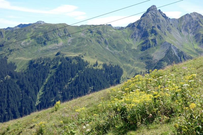 Земля Форарльберг (Bundesland Vorarlberg)