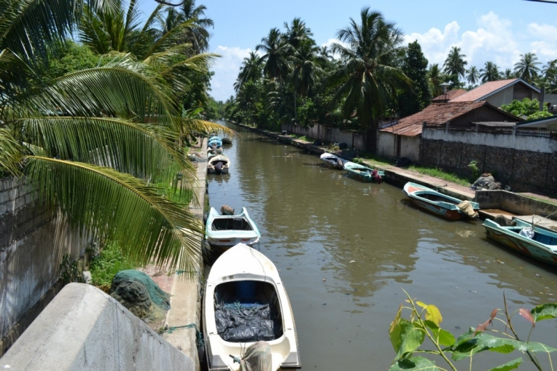 Цейлон или когда утро начинается не с кофе
