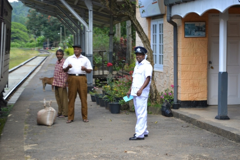 Цейлон или когда утро начинается не с кофе