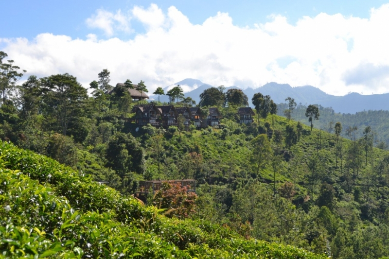 Цейлон или когда утро начинается не с кофе