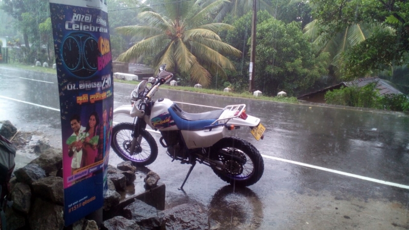 Цейлон или когда утро начинается не с кофе