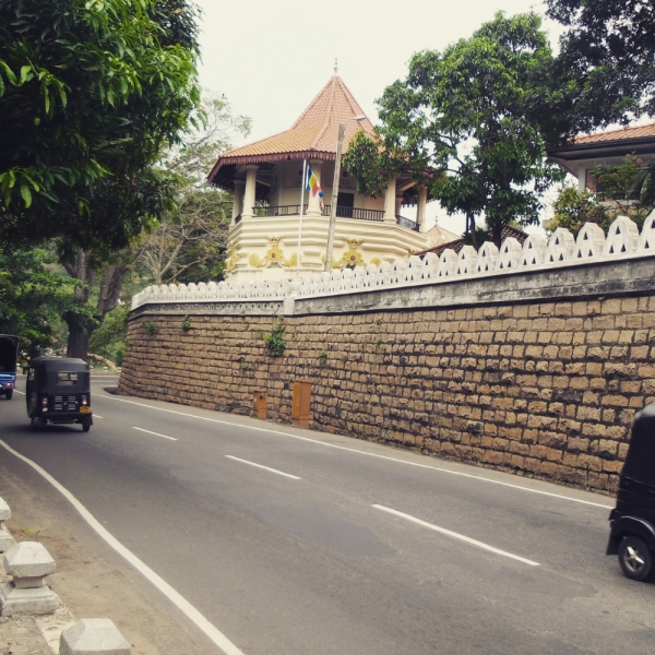 Цейлон или когда утро начинается не с кофе