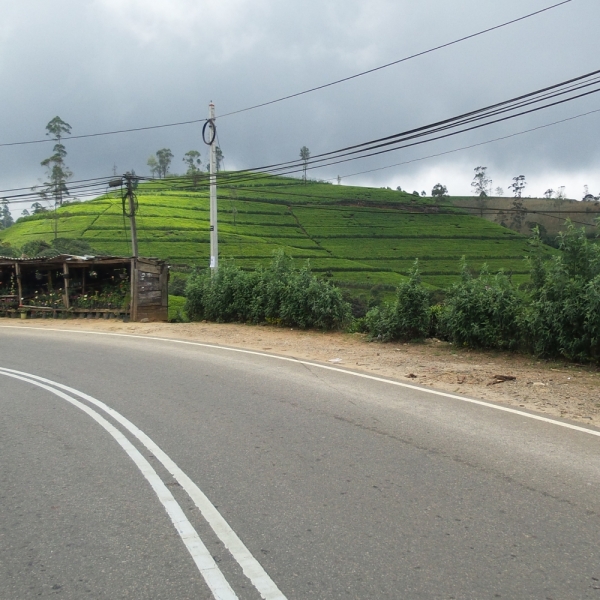 Цейлон или когда утро начинается не с кофе