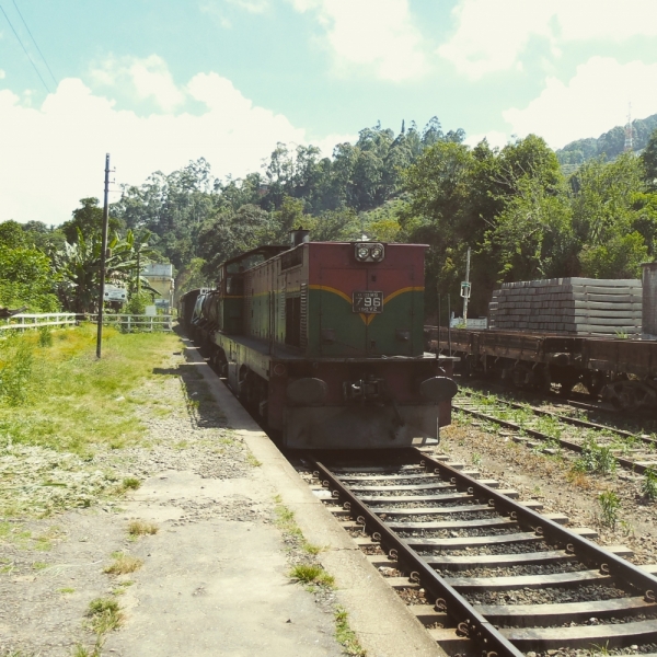 Цейлон или когда утро начинается не с кофе