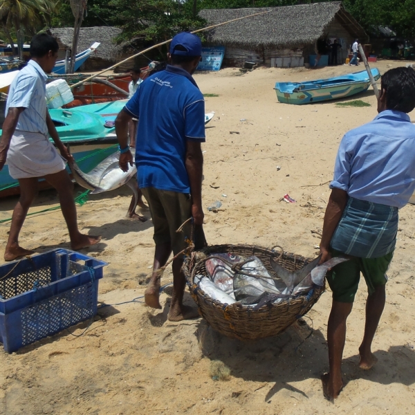 Цейлон или когда утро начинается не с кофе