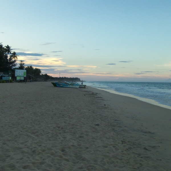 Цейлон или когда утро начинается не с кофе