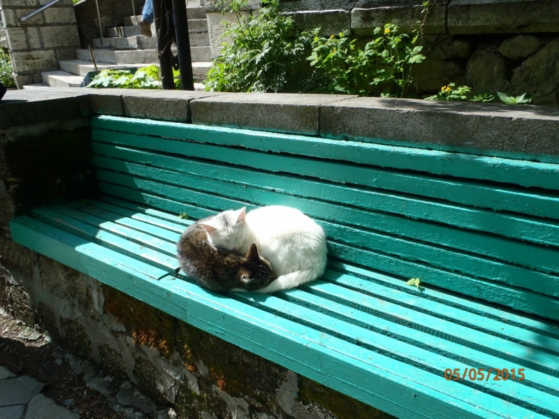 «А вот хоть бы с Лелькой в Кисловодск закатился!» (c)