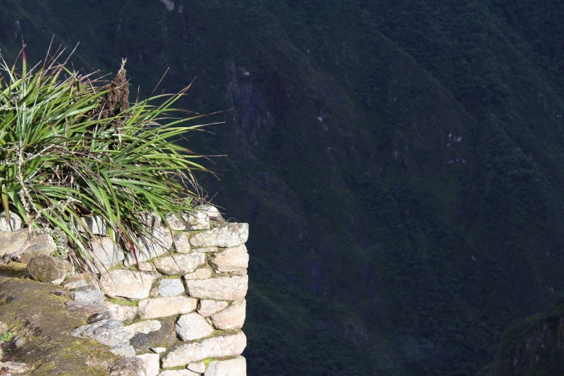 Мачу Пикчу и Каньон Колка. Видео + Фото