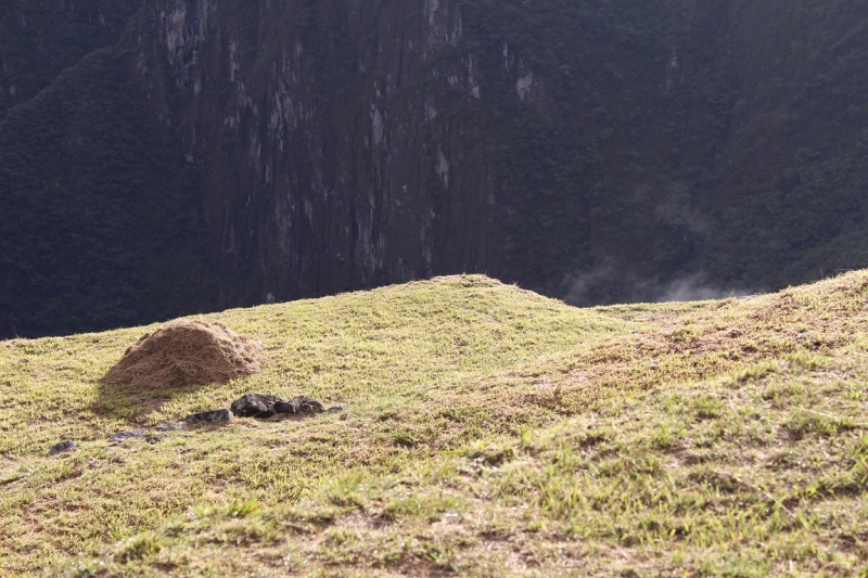 Мачу Пикчу и Каньон Колка. Видео + Фото
