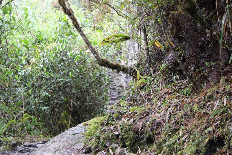 Мачу Пикчу и Каньон Колка. Видео + Фото